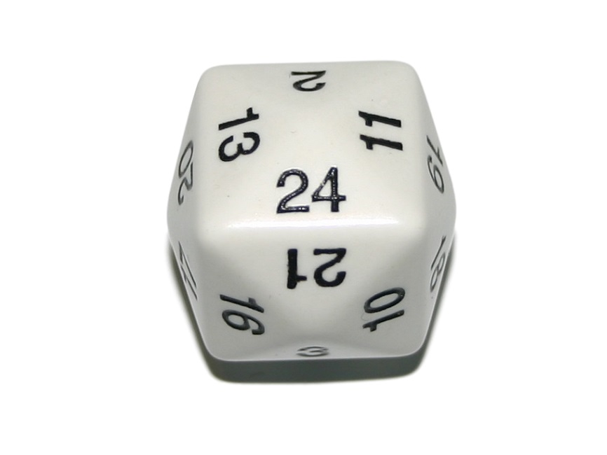 D24 - Opaque White Twenty-Four Sided Dice