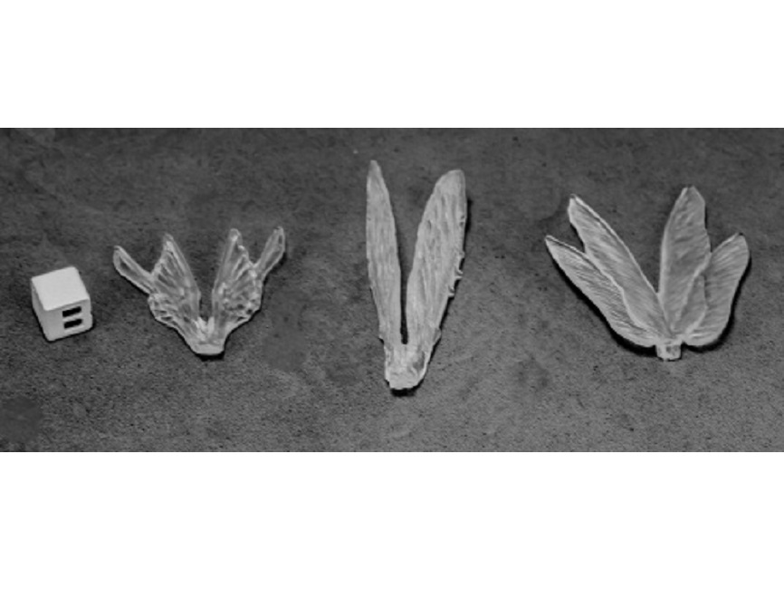 Reaper Bones 77582 Clear Wings pack of 3 pairs