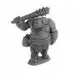 Reaper Dungeon Dwellers 07063 Ogre Guard