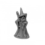 Reaper Dungeon Dwellers 07077 Anuminar Winterbeard, Wizard