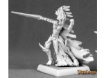 Reaper Warlord 14586 Shadowstep Warrior