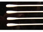 TAM87103 Tamiya Cotton Swab Round Extra Small x50